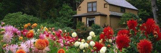 Ayudando a los demás…